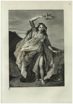 Visualizza l'immagine "Vol. Y 121.2, tav. 16"